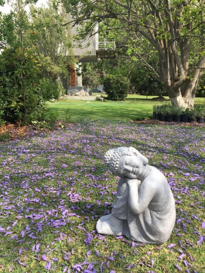 Zen Home & Garden House Cieneguilla Bagian luar foto